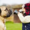 キッズカメラが進化中！興味や感性を伸ばす本物志向派におすすめ10選